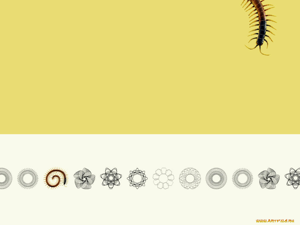 , desktop, decor